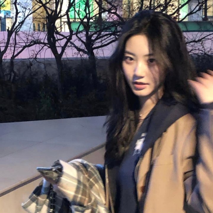 一支丁香花